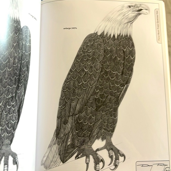 The Illustrated Bald Eagle by Denny Rogers Softcover Book EXC - Picture 12 of 16